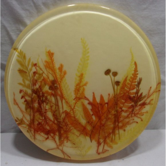 1970's MCM Lucite Trivet/Hot Plate and Spoon Rest w/ Wheat? Decor 8 3/4" & 6 1/2 - Picture 3 of 10